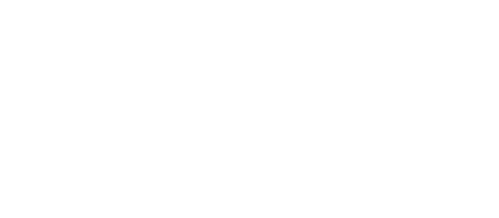 SURAGUS Logo white with transparent background